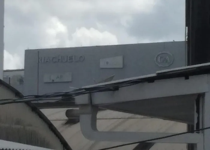 exclusiva - COP 30